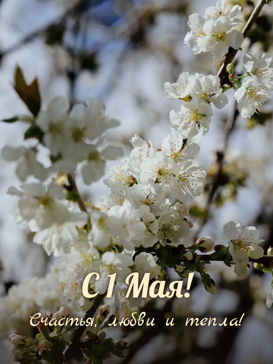 Открытка «С 1 Мая»