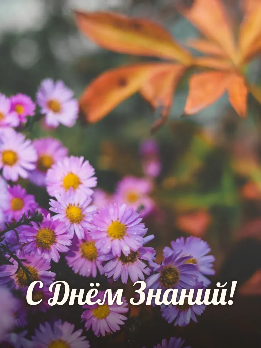 Открытка «С Днём Знаний»