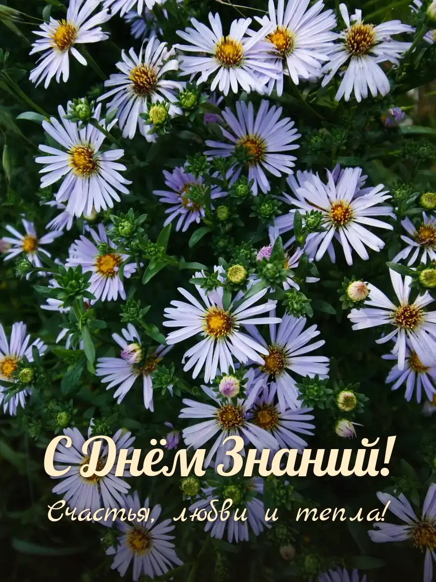 Открытка «С Днём Знаний»