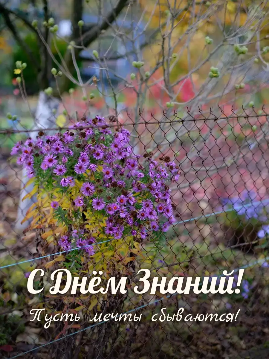 Открытка «С Днём Знаний»