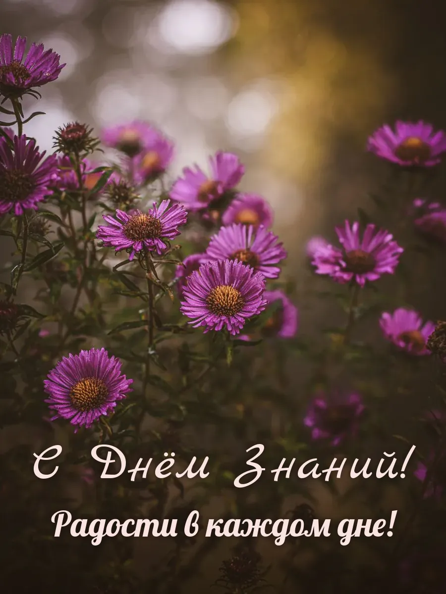 Открытка «С Днём Знаний»