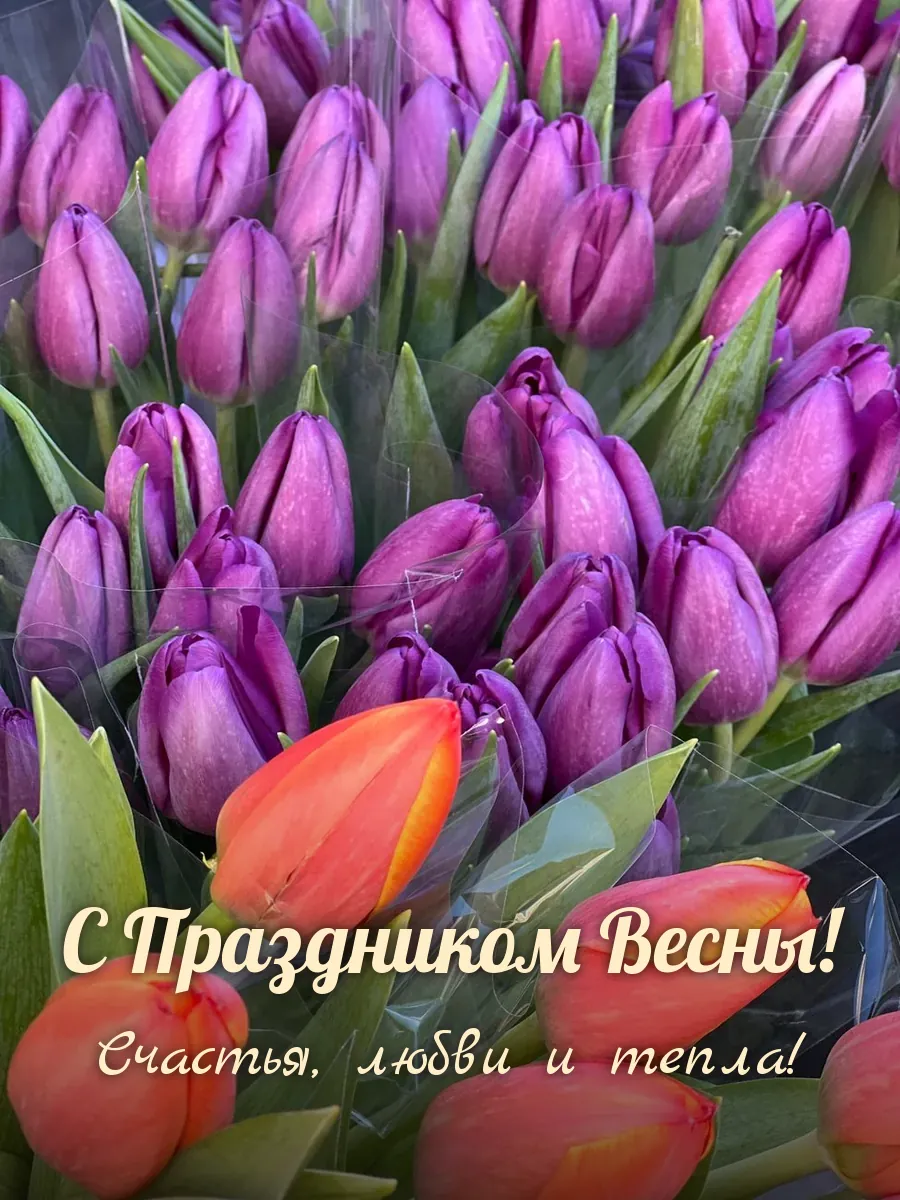 Открытка «С Праздником Весны»