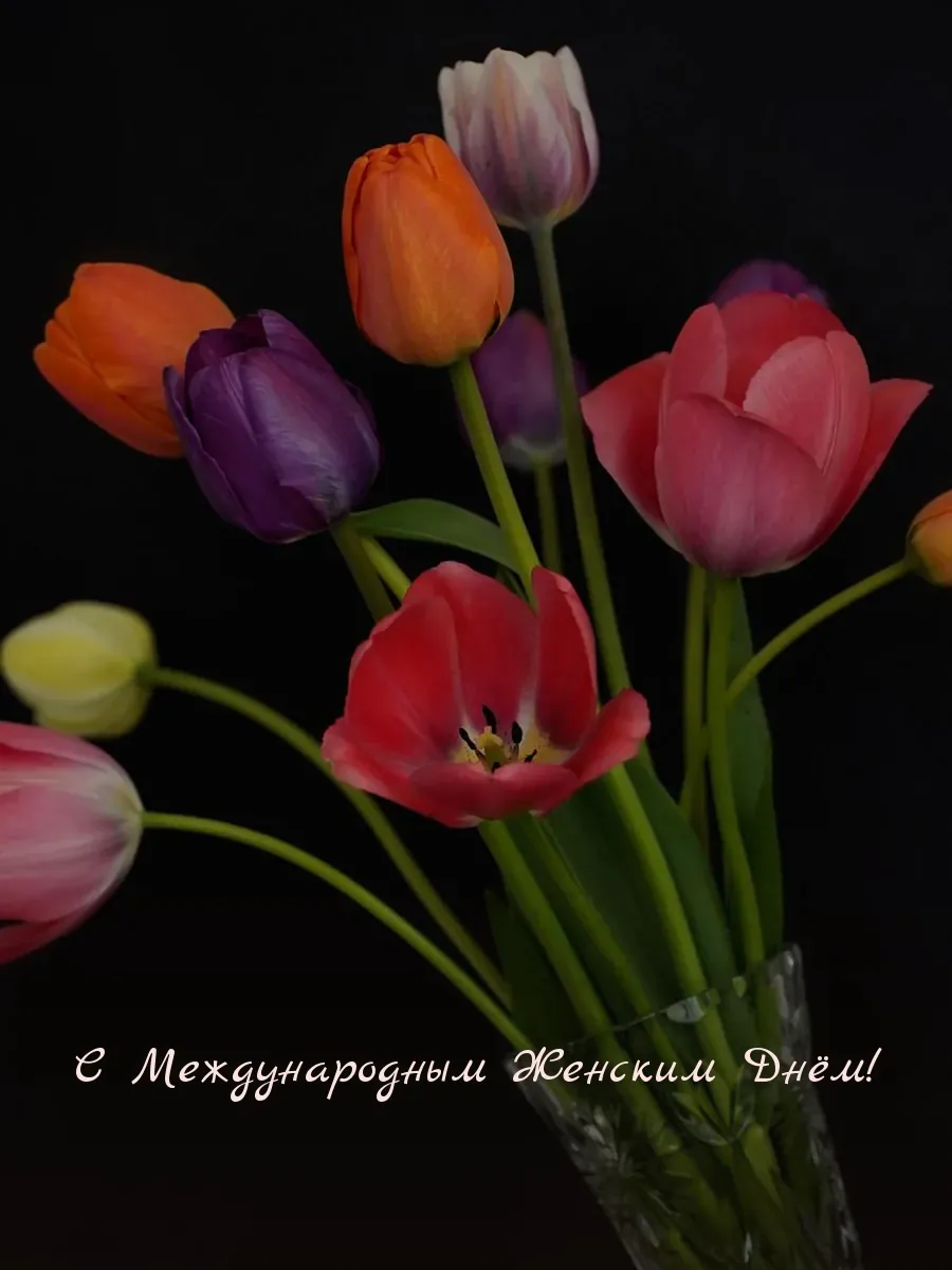 Открытка «С Международным Женским Днём»