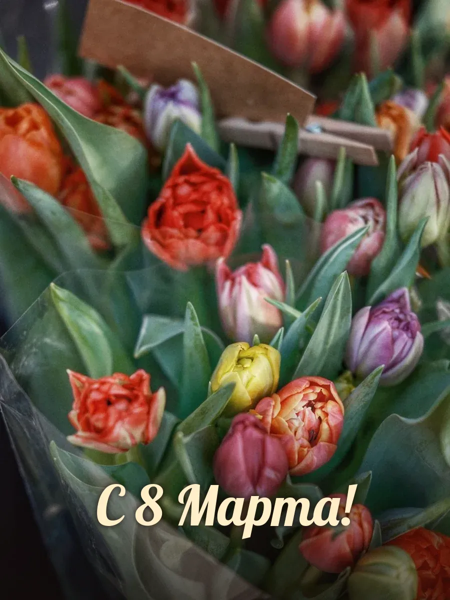 Открытка «С 8 Марта»