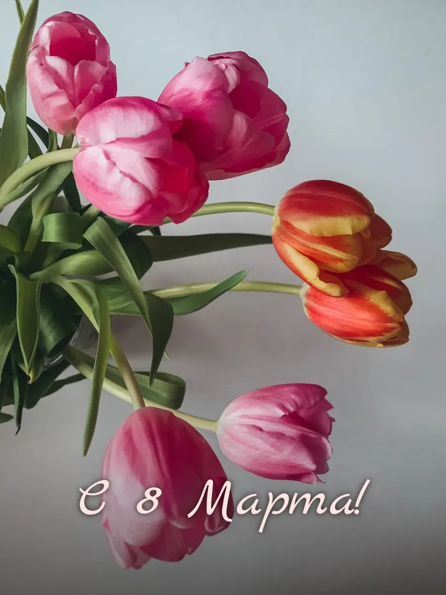 Открытка «С 8 Марта»