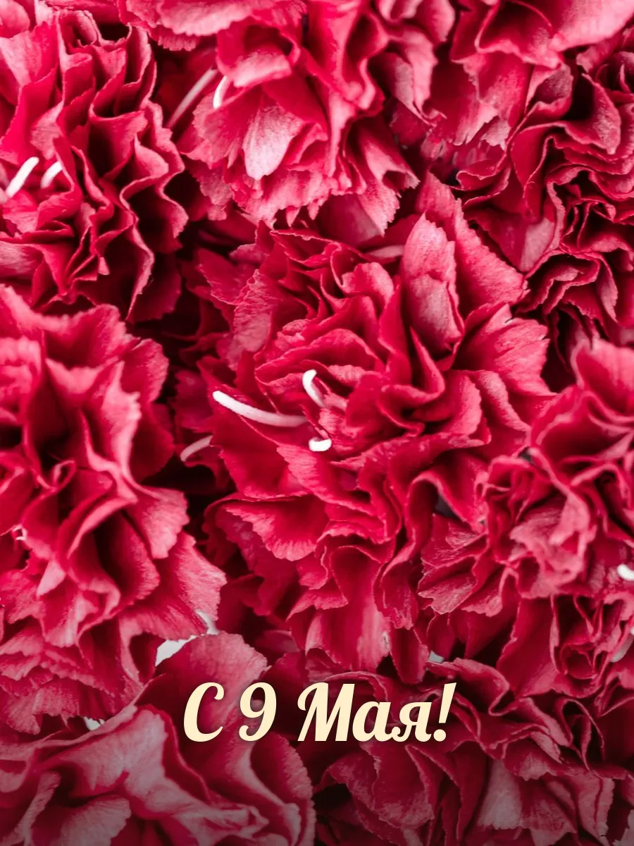 Открытка «С 9 Мая»