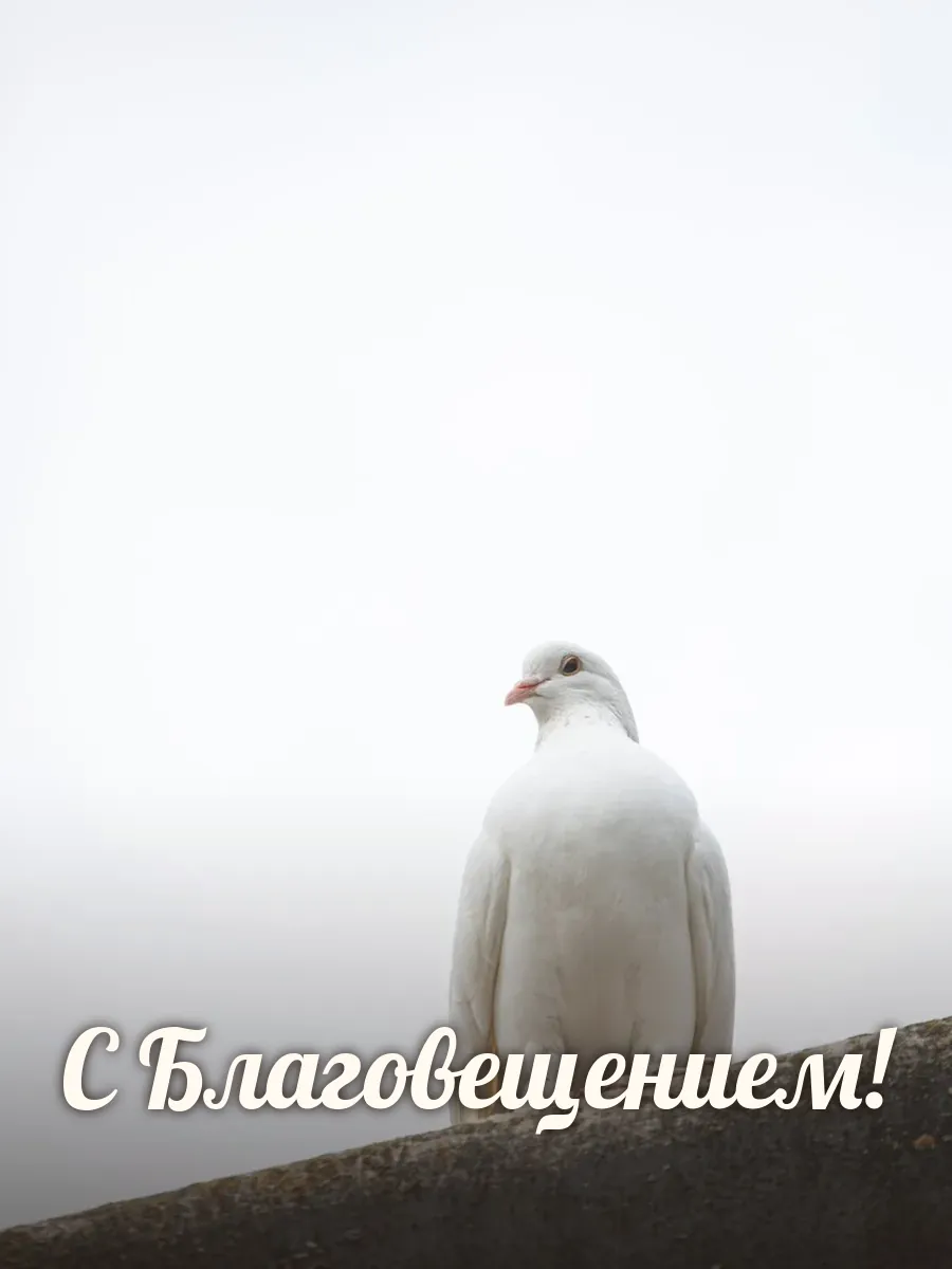 Открытка «С Благовещением»
