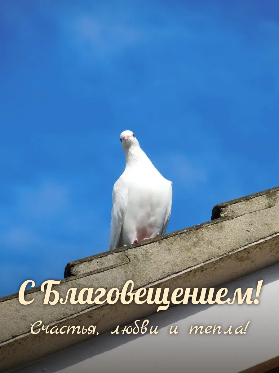 Открытка «С Благовещением»