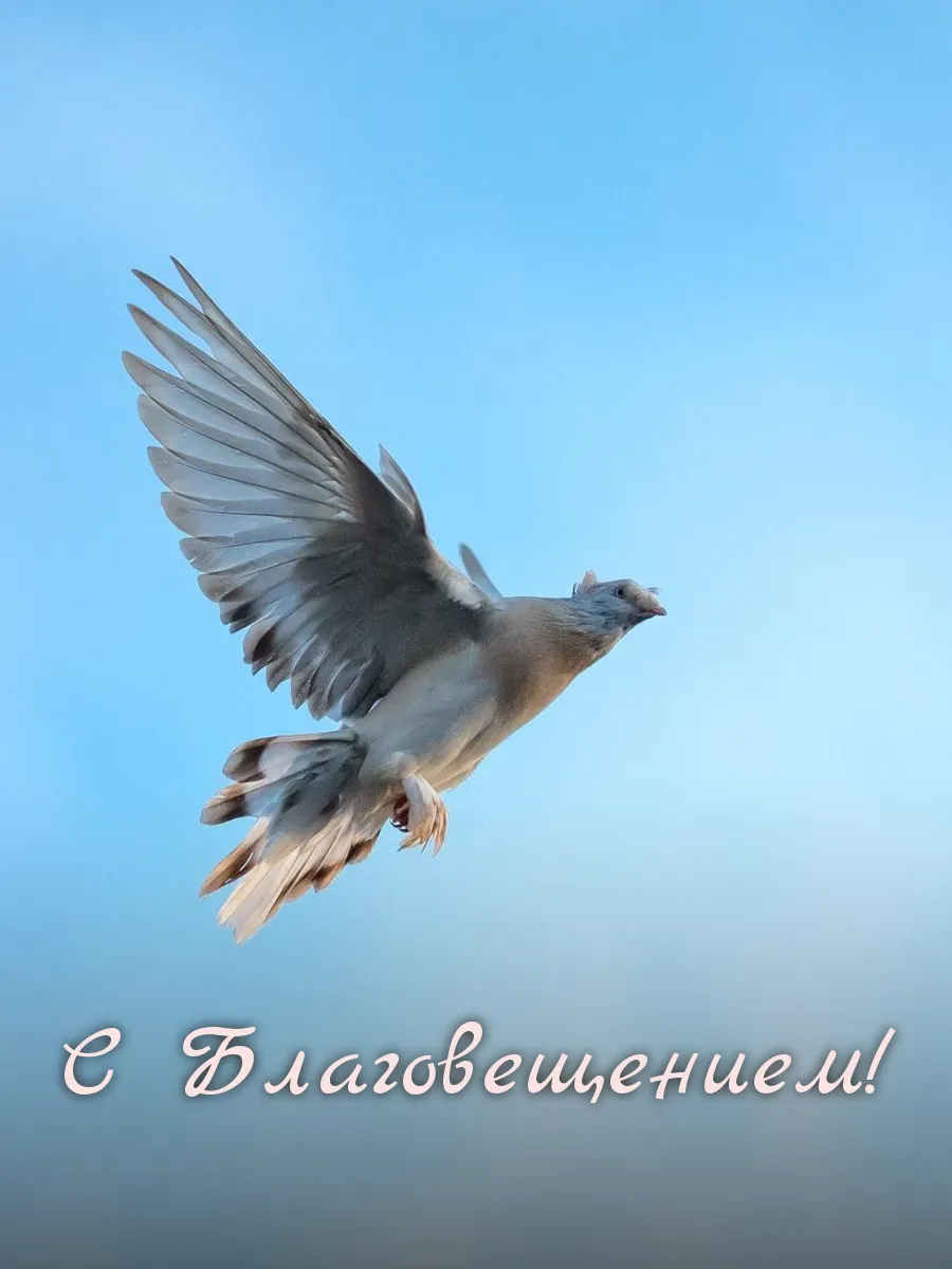 Открытка «С Благовещением»