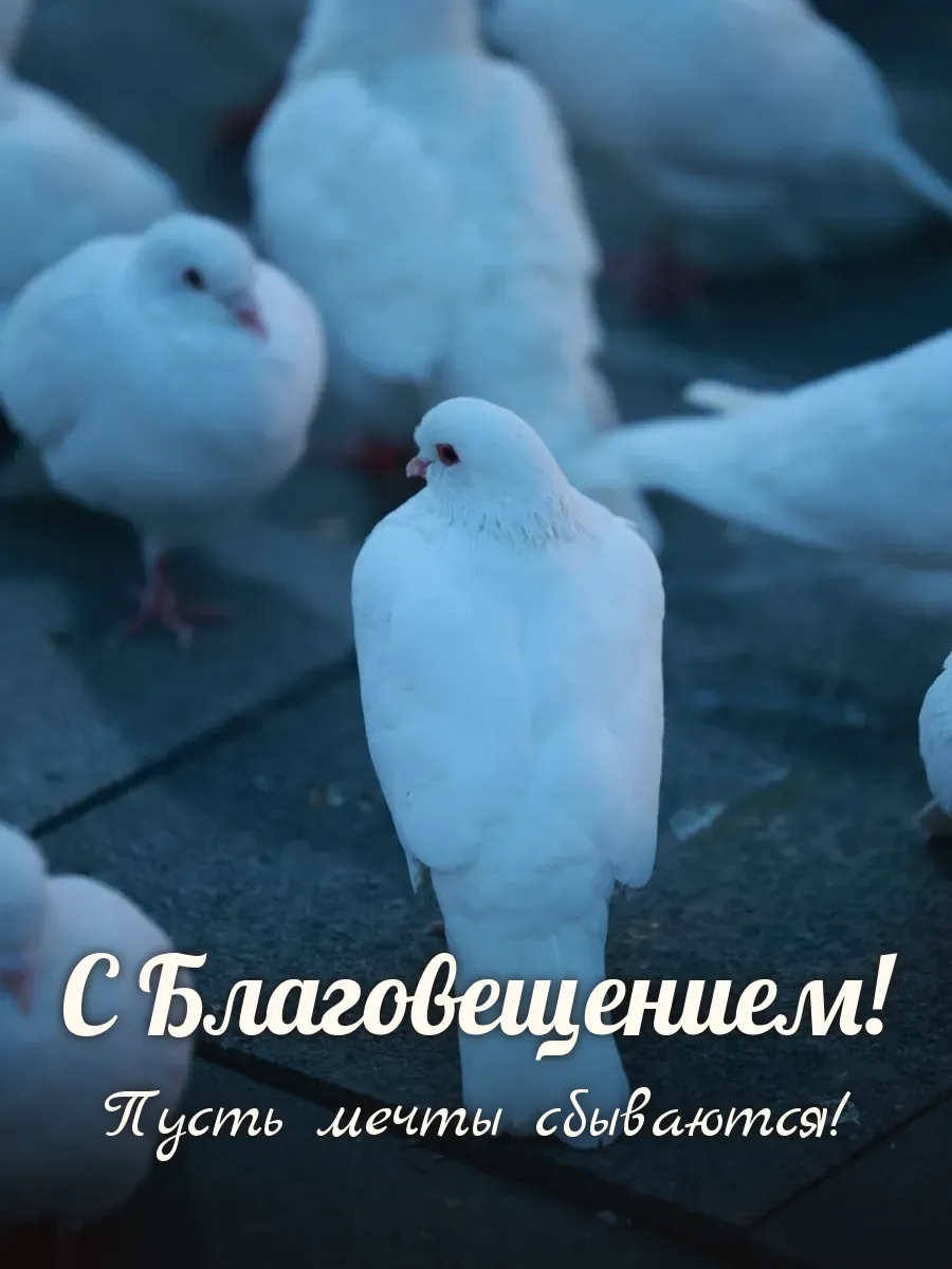 Открытка «С Благовещением»