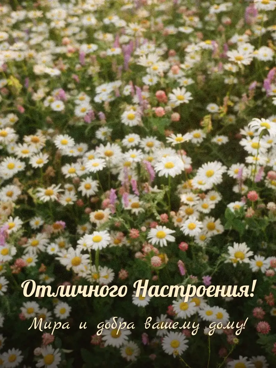 Открытка «Отличного Настроения»