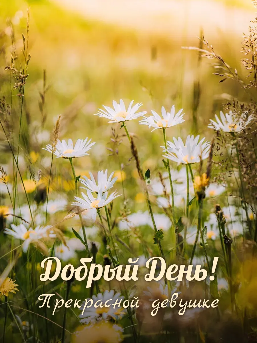 Открытка «Добрый День» — милой девушке