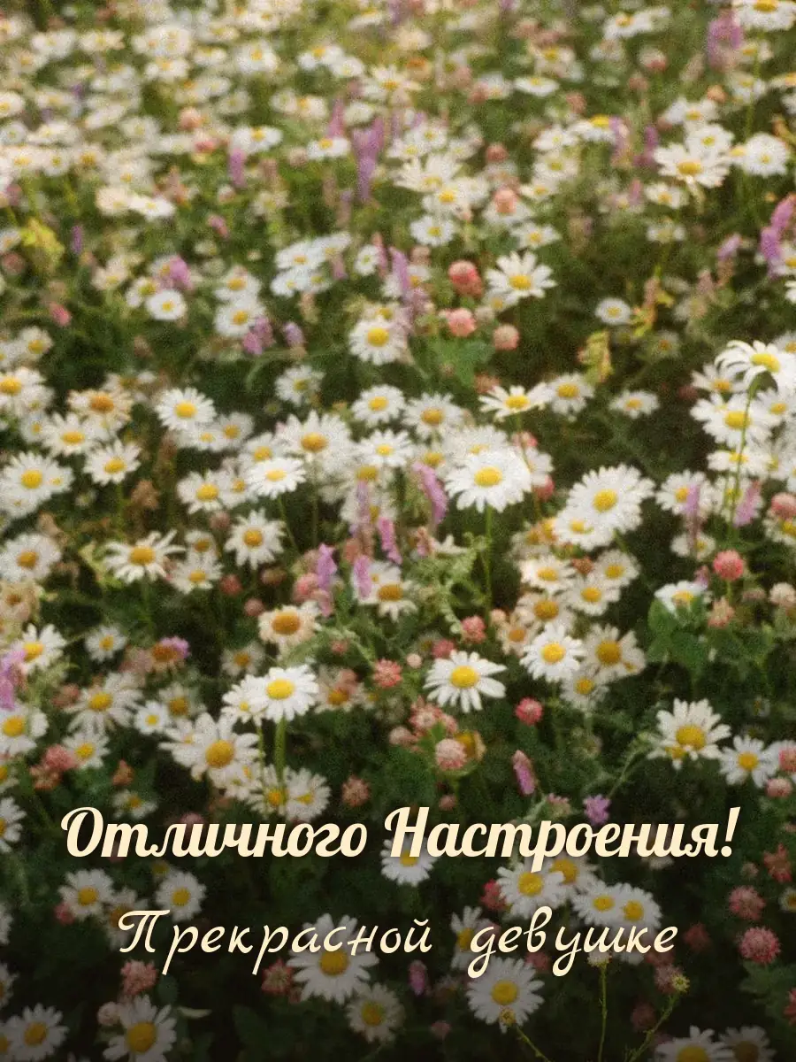 Открытка «Отличного Настроения» — милой девушке