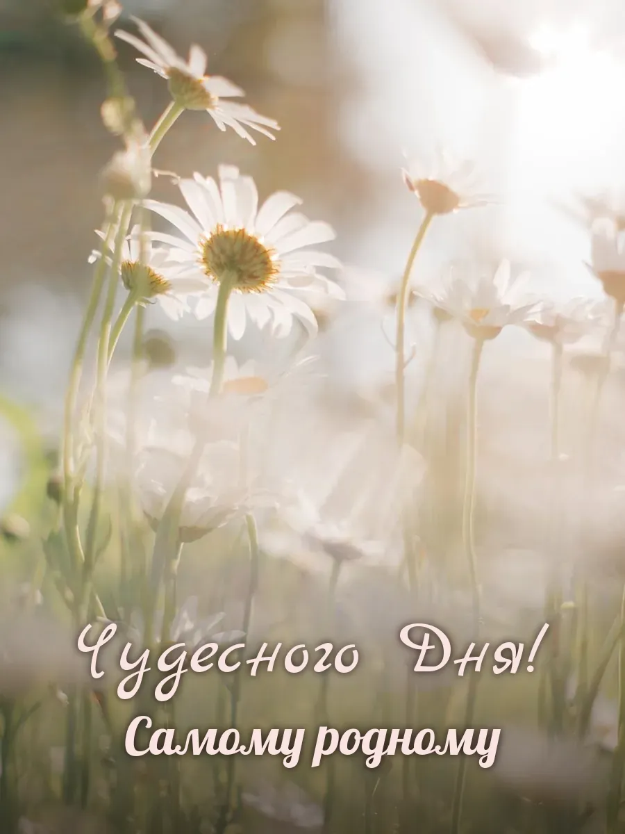Открытка «Чудесного Дня» — любимому