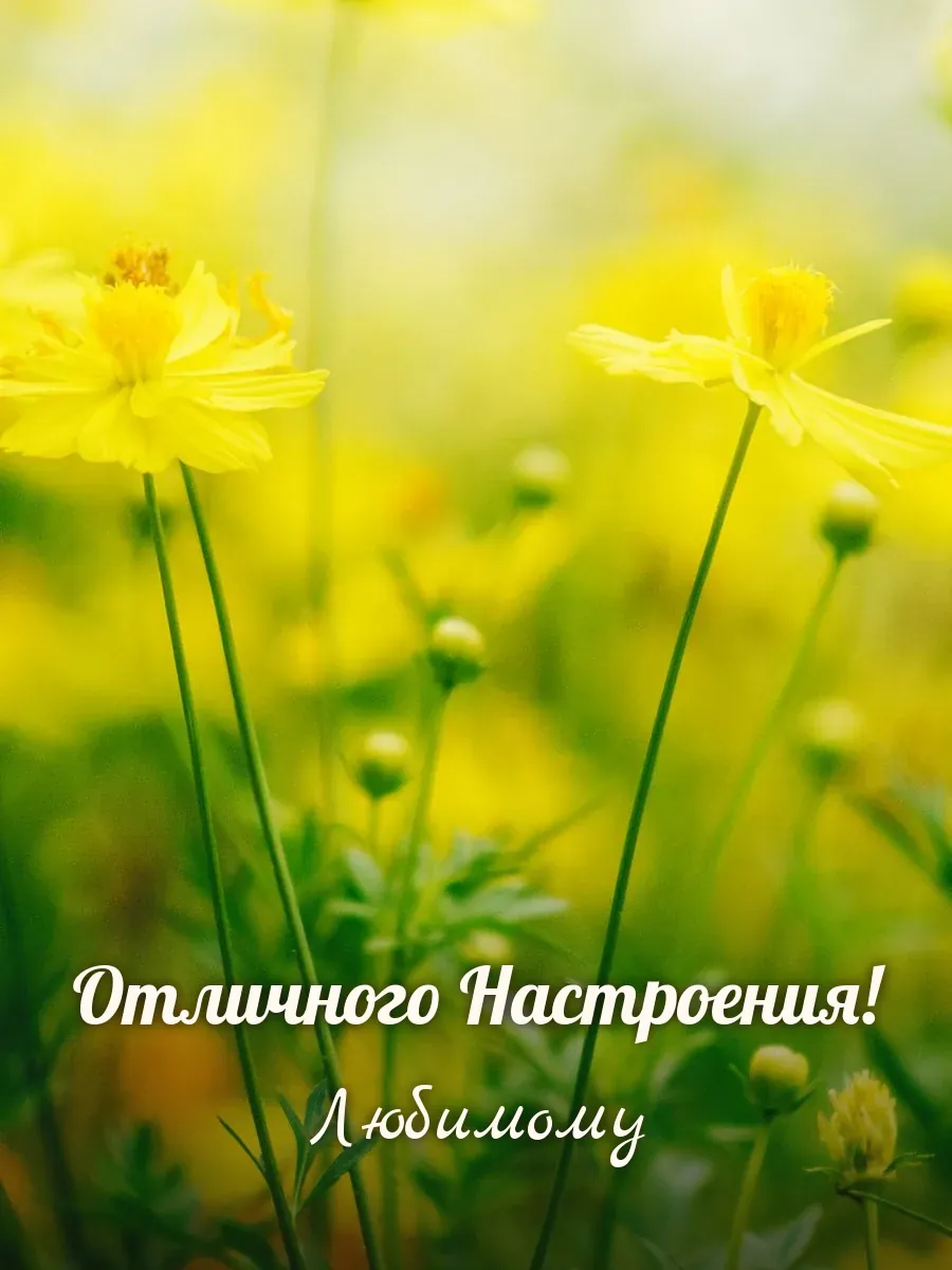 Открытка «Отличного Настроения» — любимому