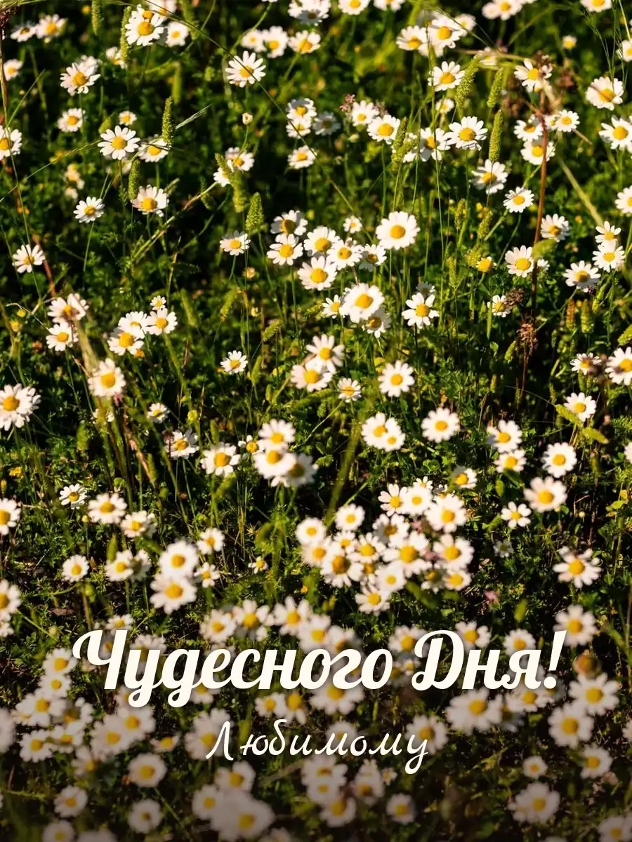 Открытка «Чудесного Дня» — любимому