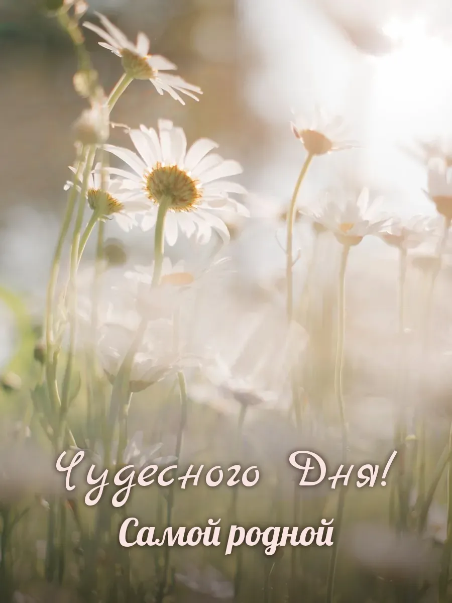 Открытка «Чудесного Дня» — любимой