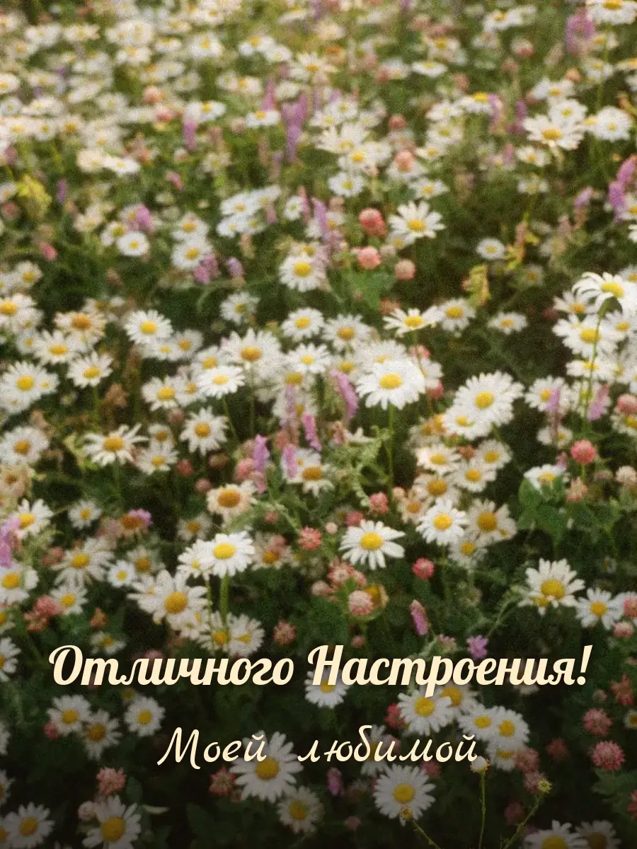 Открытка «Отличного Настроения» — любимой