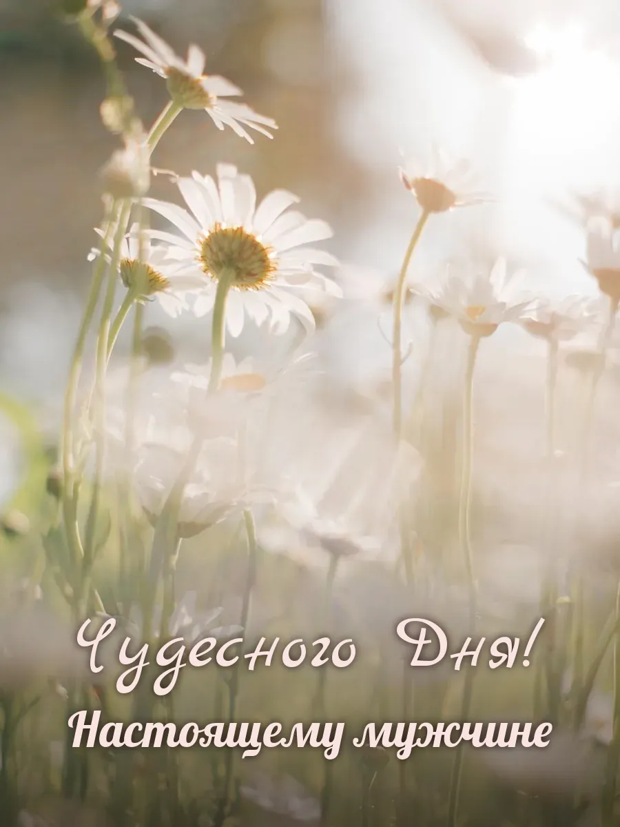 Открытка «Чудесного Дня» — настоящему мужчине