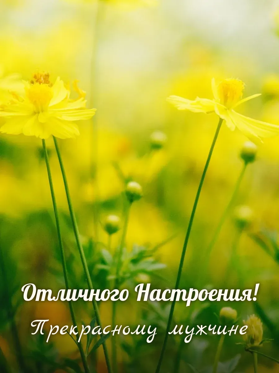 Открытка «Отличного Настроения» — настоящему мужчине