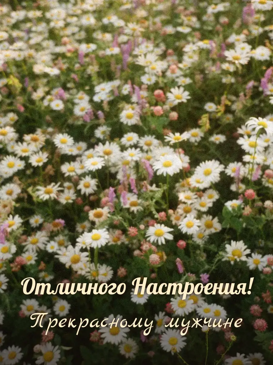 Открытка «Отличного Настроения» — настоящему мужчине