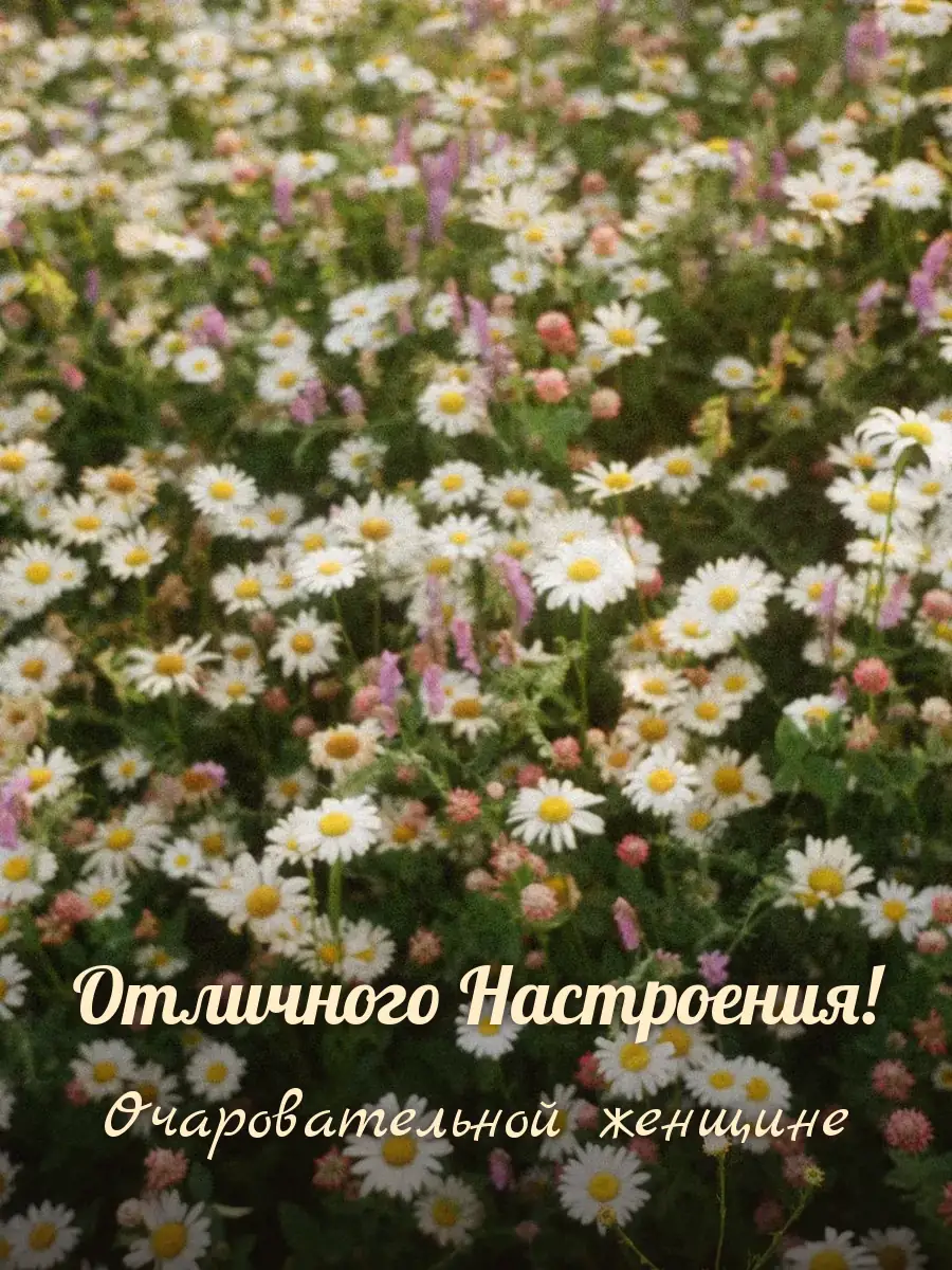 Открытка «Отличного Настроения» — прекрасной женщине