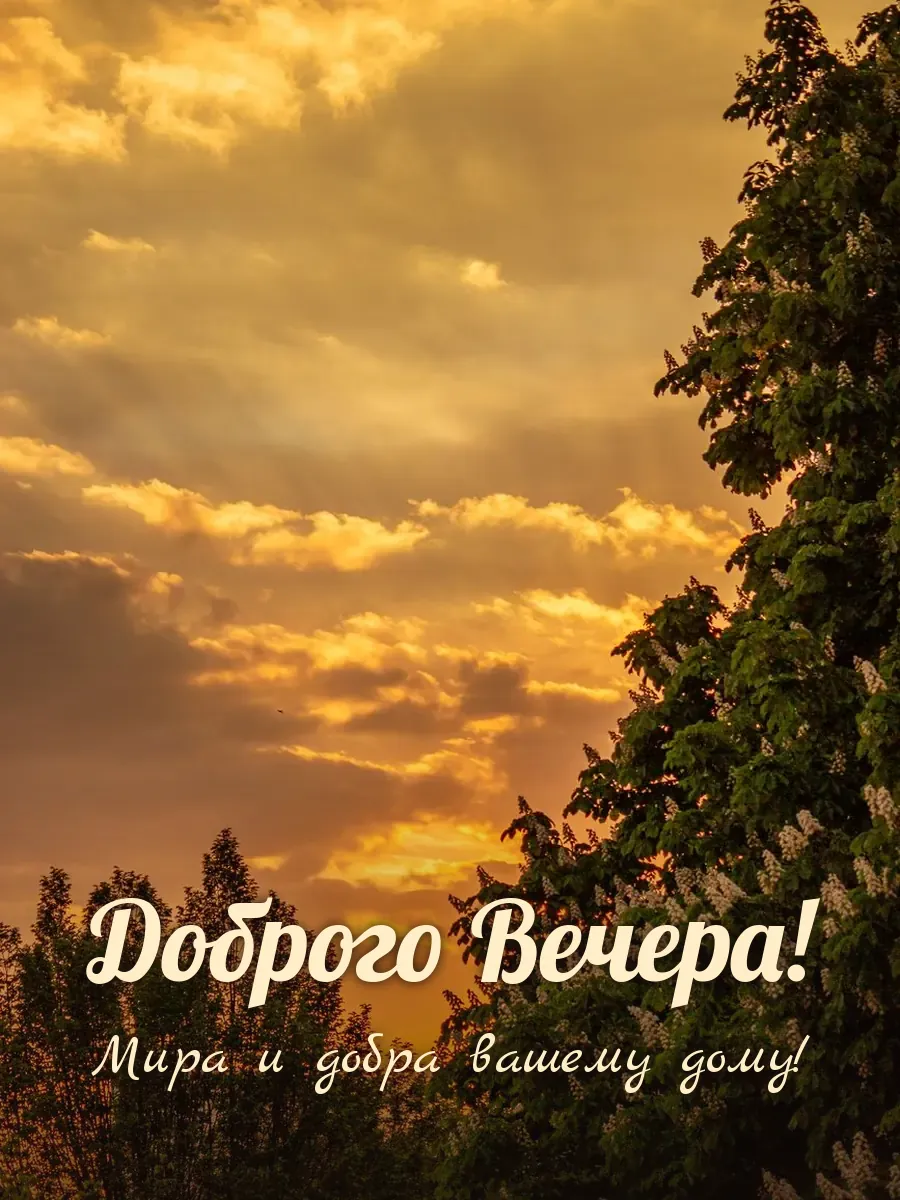 Открытка «Доброго Вечера»