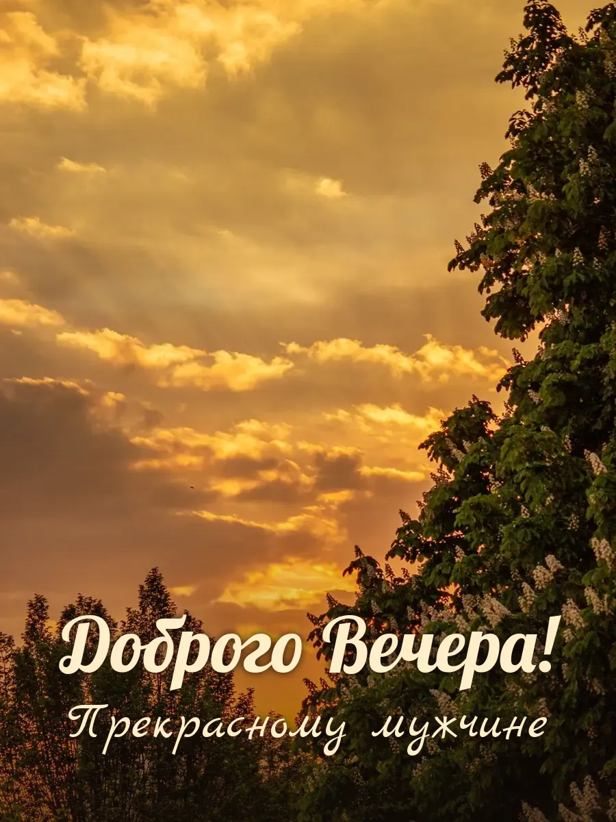 Открытка «Доброго Вечера» — настоящему мужчине