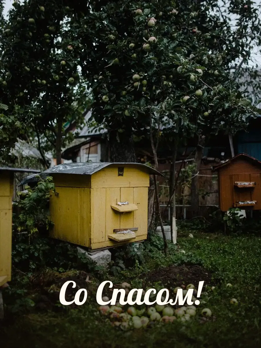 Открытка «Со Спасом»