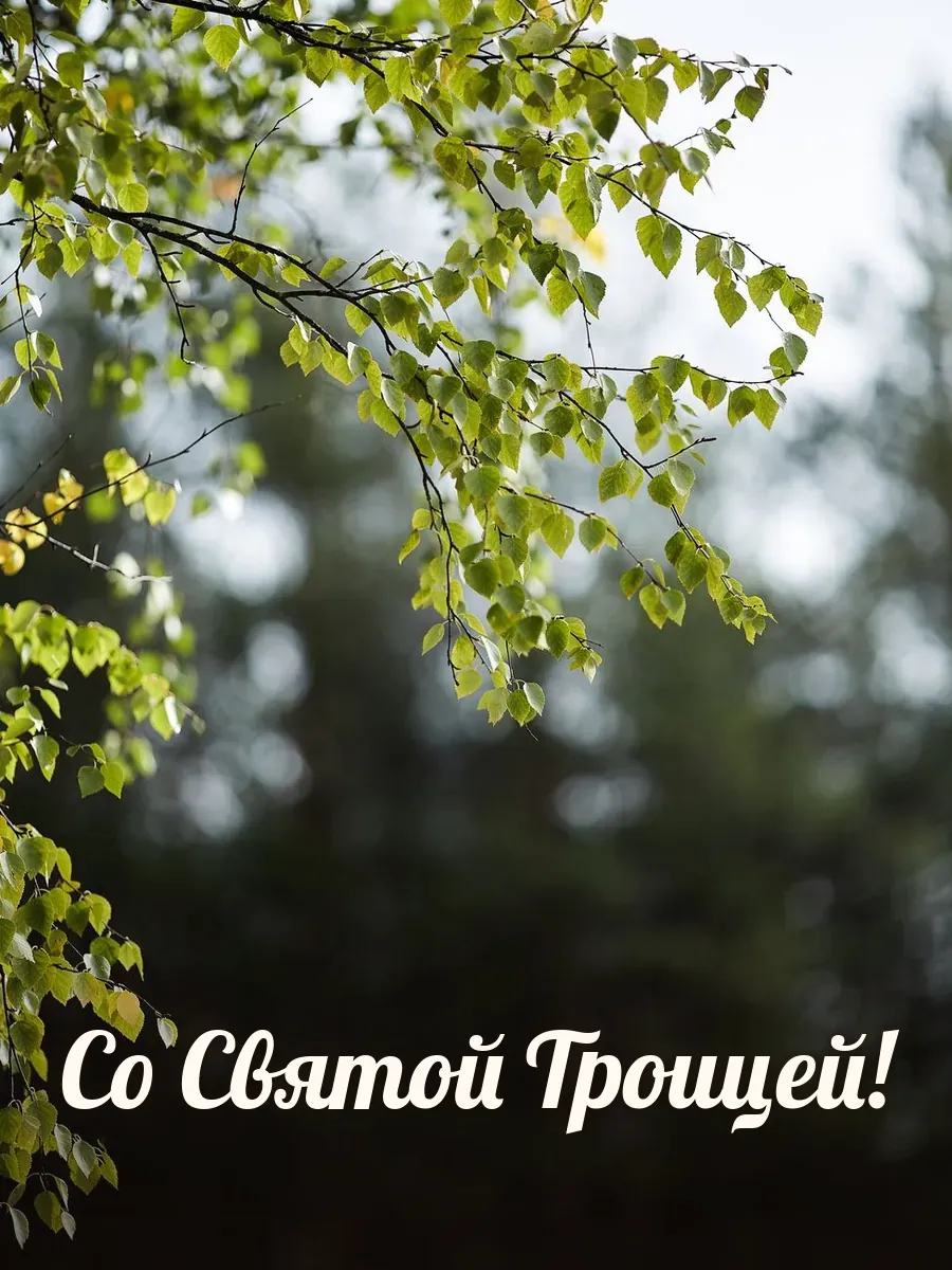 Открытка «Со Святой Троицей»