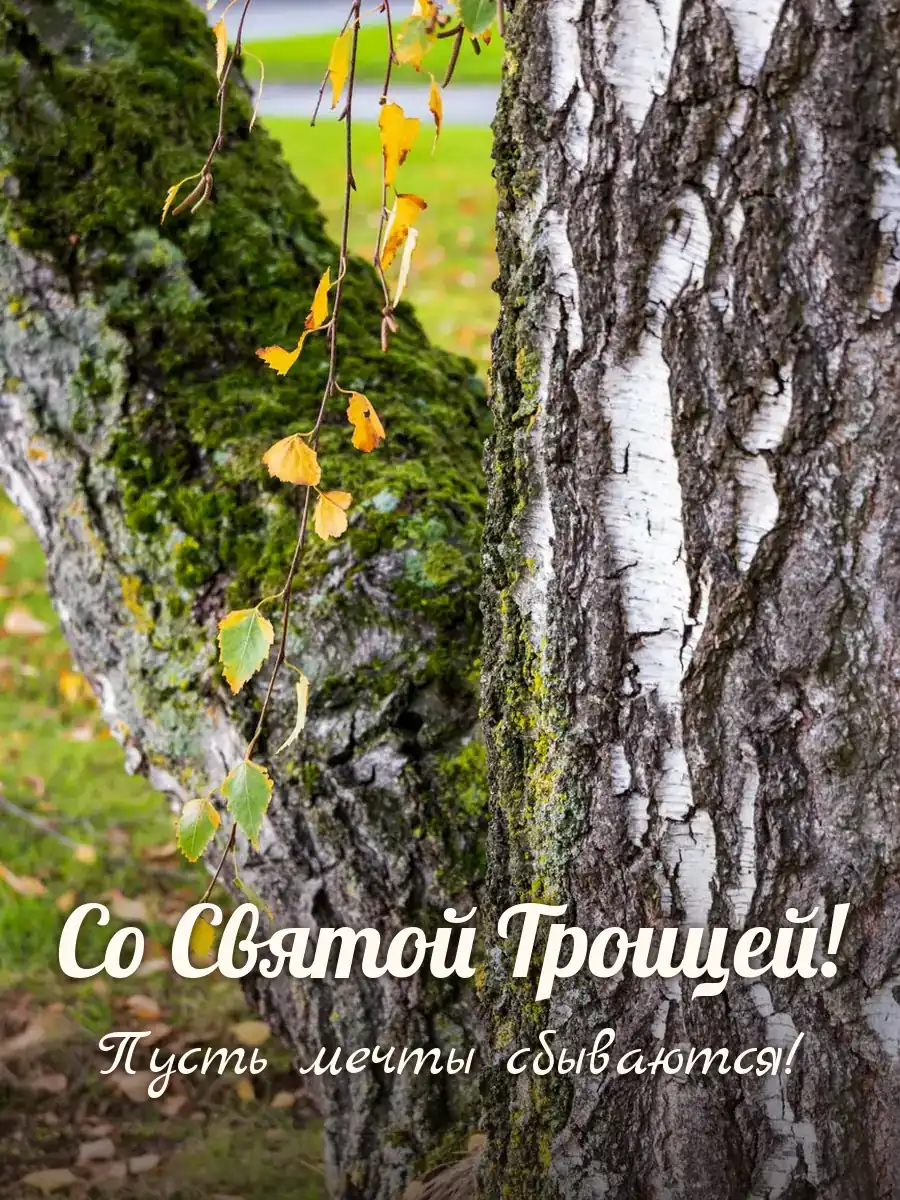 Открытка «Со Святой Троицей»
