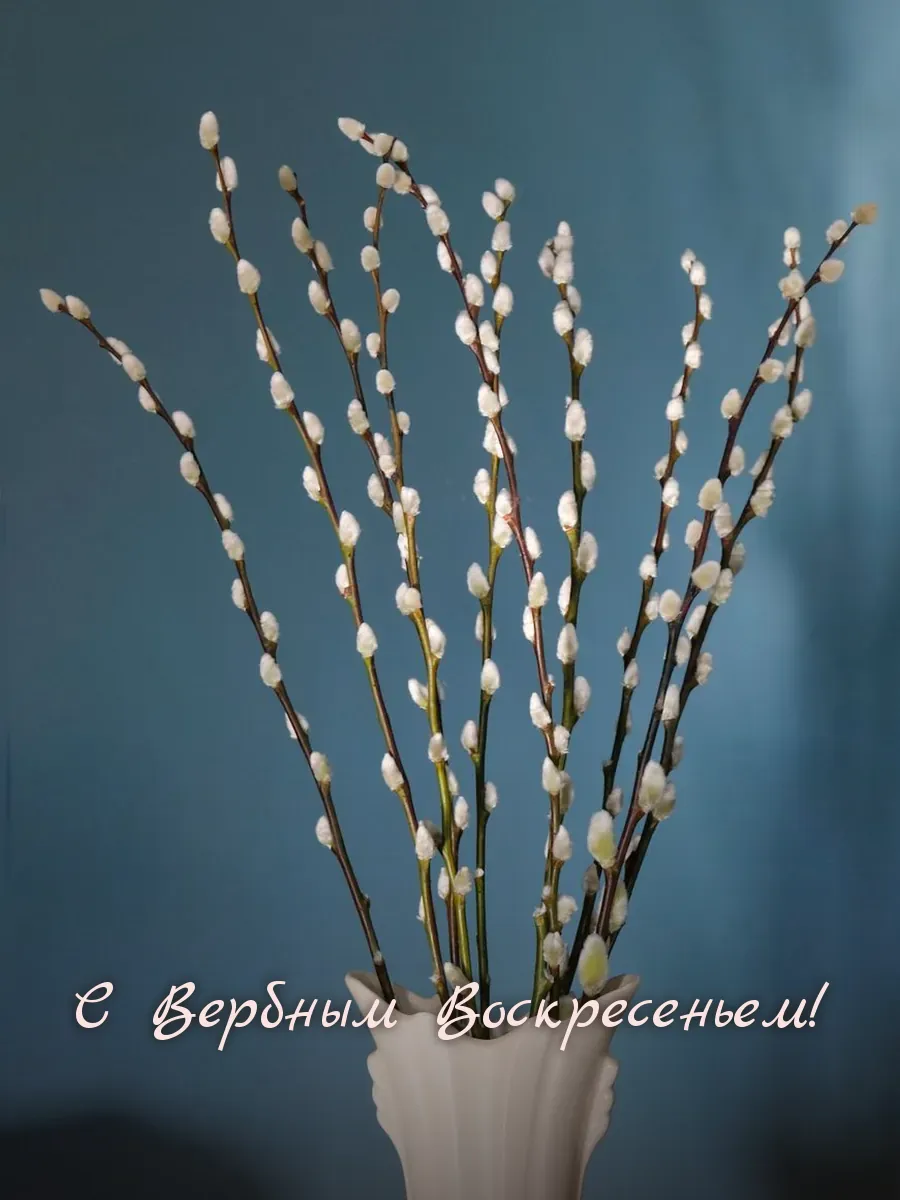 Открытка «С Вербным Воскресеньем»