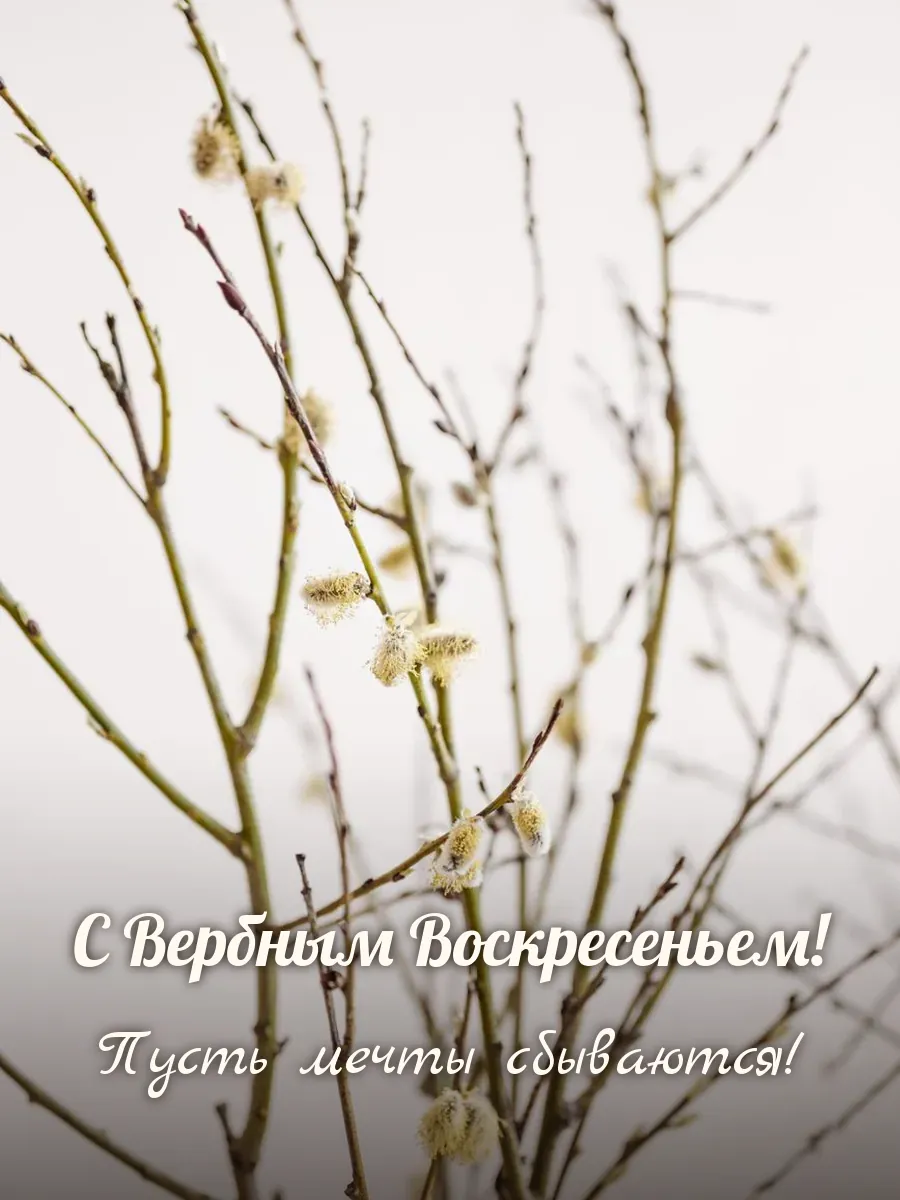 Открытка «С Вербным Воскресеньем»